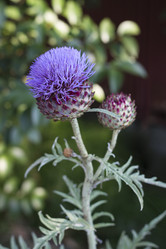 Similar image 5582195