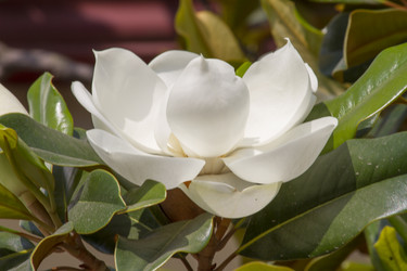 Similar image 5582196