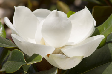 Similar image 5582197