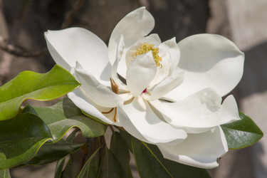 Similar image 5582208