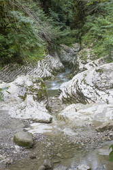 Similar image 5582207