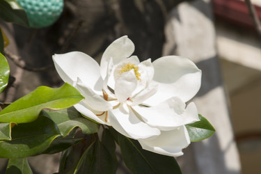 Similar image 5582209