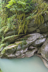 Similar image 5582212