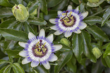 Similar image 5582217