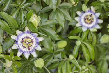 Similar image 5582219