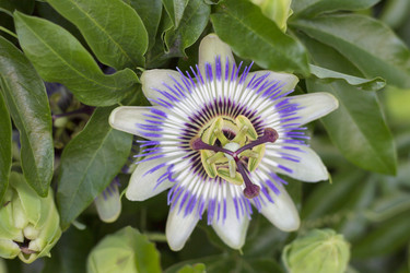 Similar image 5582221