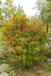 Similar image 5582229