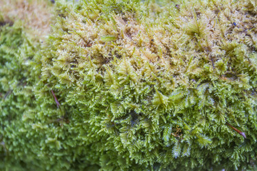 Similar image 5582236