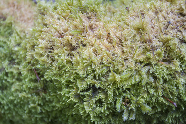 Similar image 5582239