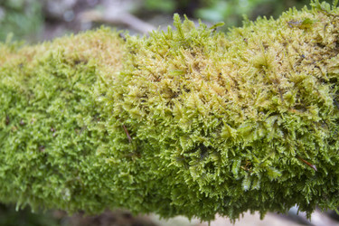 Similar image 5582251