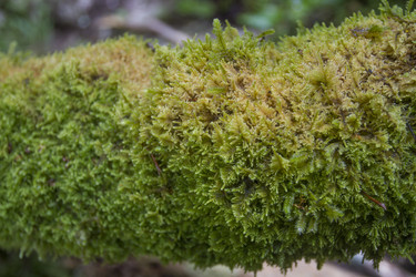 Similar image 5582253