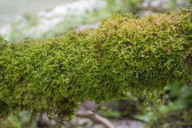 Similar image 5582270