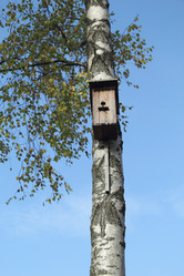 Similar image 5582292