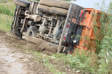 Similar image 5582301