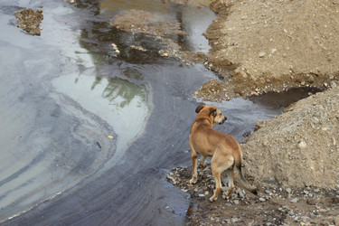 Similar image 5582322