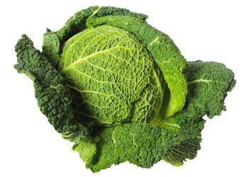 Similar image 5582357