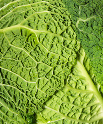 Similar image 5582363