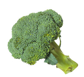 Similar image 5582370