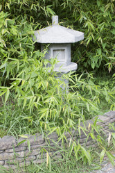 Similar image 5582379