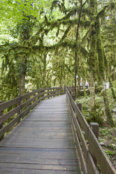 Similar image 5582398