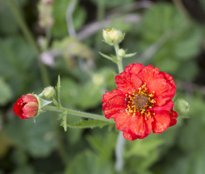 Similar image 5582401