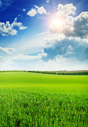 Similar image 5582409