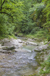 Similar image 5582427