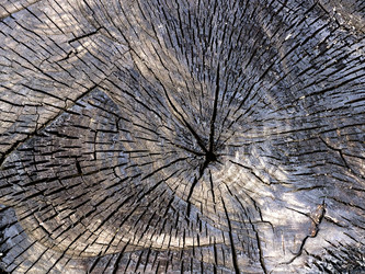 Similar image 5582469