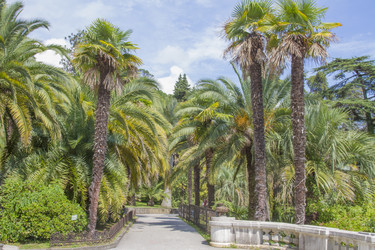 Similar image 5582471