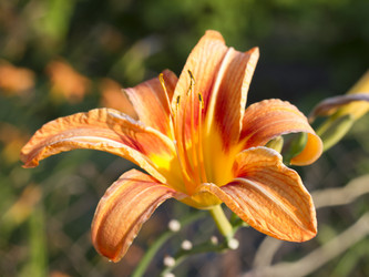 Similar image 5582472