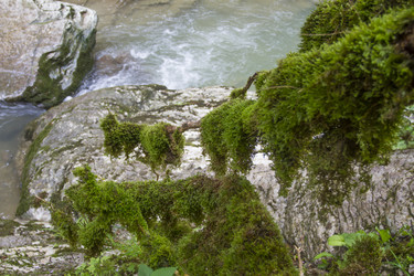 Similar image 5582475