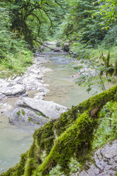 Similar image 5582476