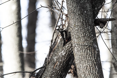 Similar image 5582477