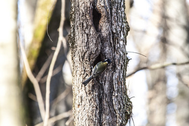 Similar image 5582478