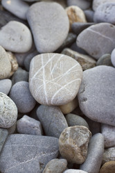 Similar image 5582555