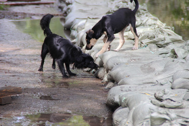 Similar image 5582568