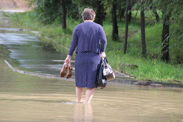 Similar image 5582569