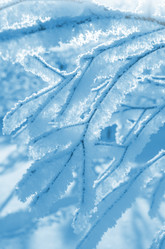 Similar image 5582581