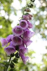 Similar image 5582585