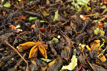 Similar image 5582606