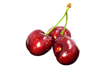 Similar image 5582609