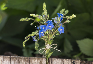 Similar image 5582647