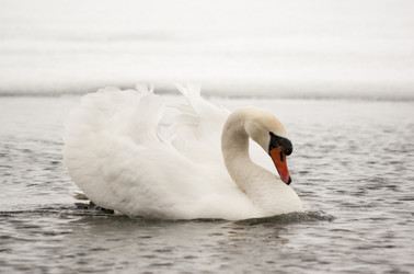 Similar image 5582660