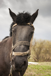 Similar image 5582679