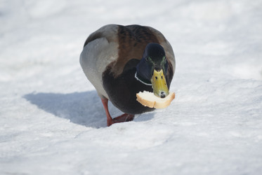 Similar image 5582681