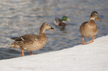 Similar image 5582682