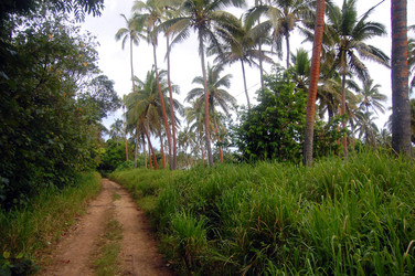 Similar image 5582712