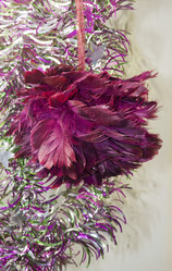 Similar image 5582777