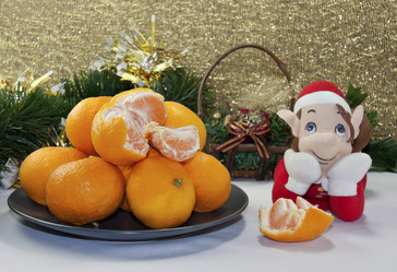 Similar image 5582785