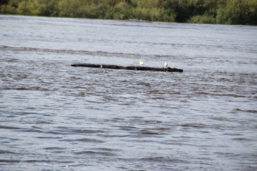 Similar image 5582884